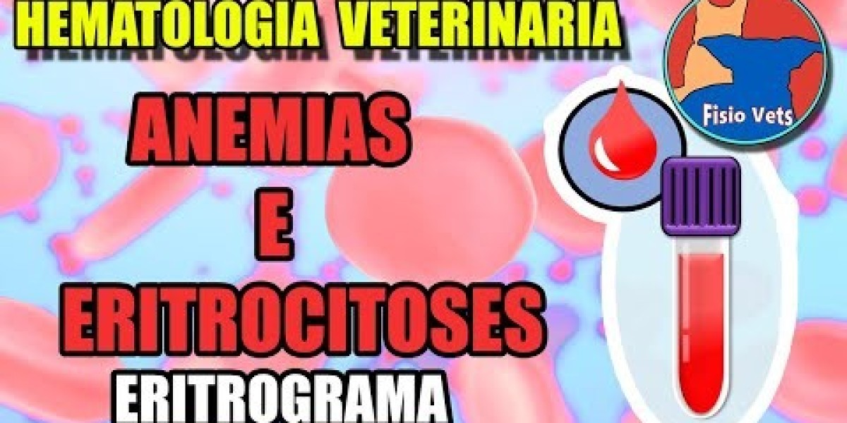 CÁNCER DE HÍGADO en PERROS Síntomas, causas y tratamiento