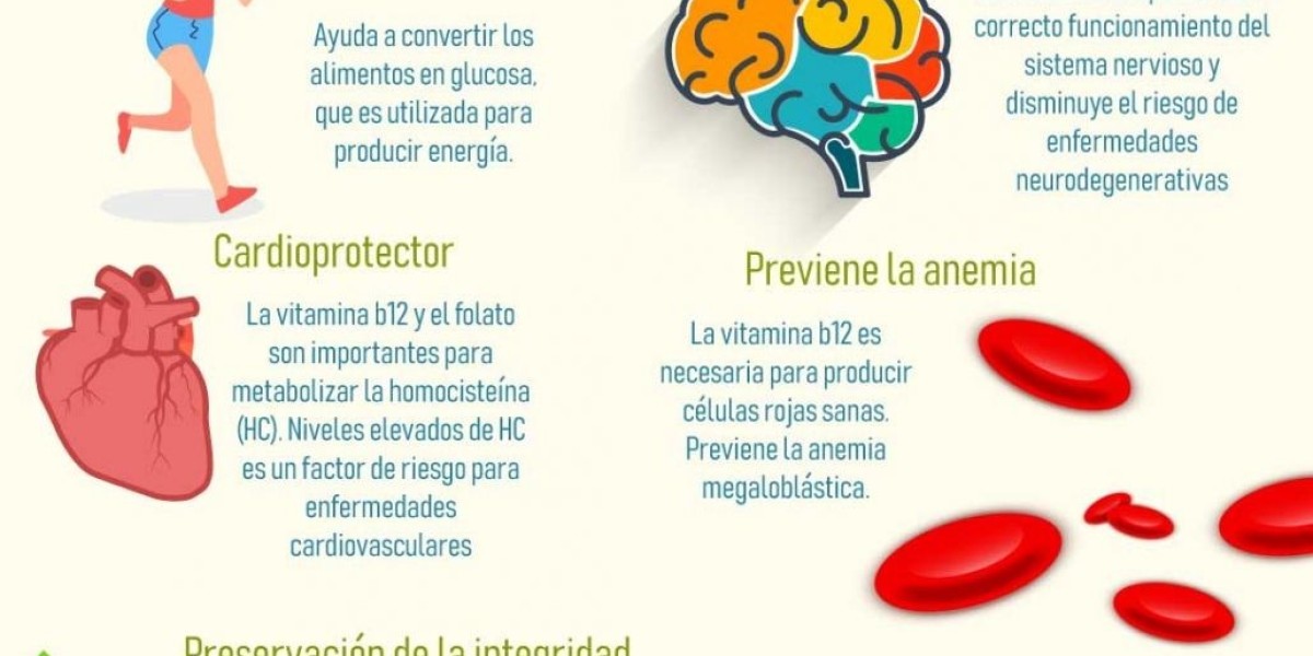 La vitamina que ayuda a quemar grasa abdominal, ¿en qué alimentos está?