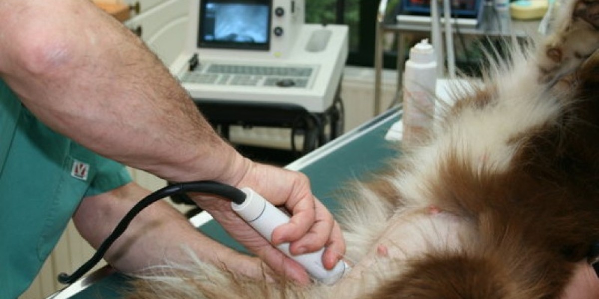 Veterinary X-Ray Systems Digital X-Ray & Wireless DR