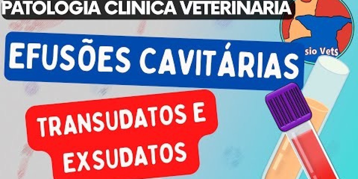 Radiología veterinaria: Rayos X para mascotas