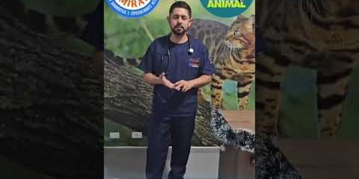 Cardiología Veterinaria